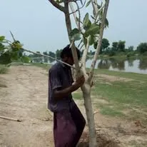 Green Seekers Activity